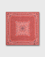 Load image into Gallery viewer, Hand-Rolled Linen/Cotton Print Pocket Square in Salmon/Navy Flower Paisley