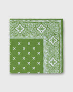 Load image into Gallery viewer, Hand-Rolled Linen/Cotton Print Pocket Square in Spring/Bone Paisley Bandana Print