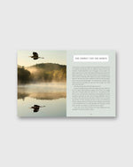Load image into Gallery viewer, Small Wonders - Jennifer Shoop