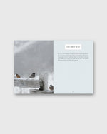 Load image into Gallery viewer, Small Wonders - Jennifer Shoop