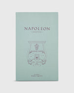 Load image into Gallery viewer, Napoleon Decorative Bust Candle Black