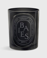 Load image into Gallery viewer, Colored Scented Candle in Baies

