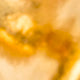 Gold Plated