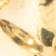 Brass