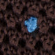 Silk Knit Tie in Chocolate/French Blue Dot