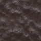 Card Holder in Chocolate Sharkskin