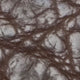 Chocolate Matte Alligator
