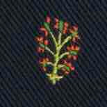 Silk Woven Club Tie in Navy Tree Of Life