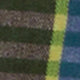 Field Short in Riviera/Green/Yellow Madras
