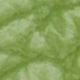 Card Holder in Leaf Leather