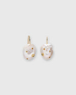 Load image into Gallery viewer, Eros Earrings in Multi
