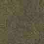 Olive Suede