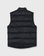 Load image into Gallery viewer, Cashball Traveler's Vest in Navy Nylon
