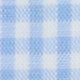 Spread Collar Sport Shirt in Dutch Micro Gingham Poplin