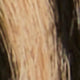 1.5" Conroy Belt in Zebra Calf Hair
