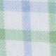 Spread Collar Sport Shirt in Grass/Sky Tattersall Poplin