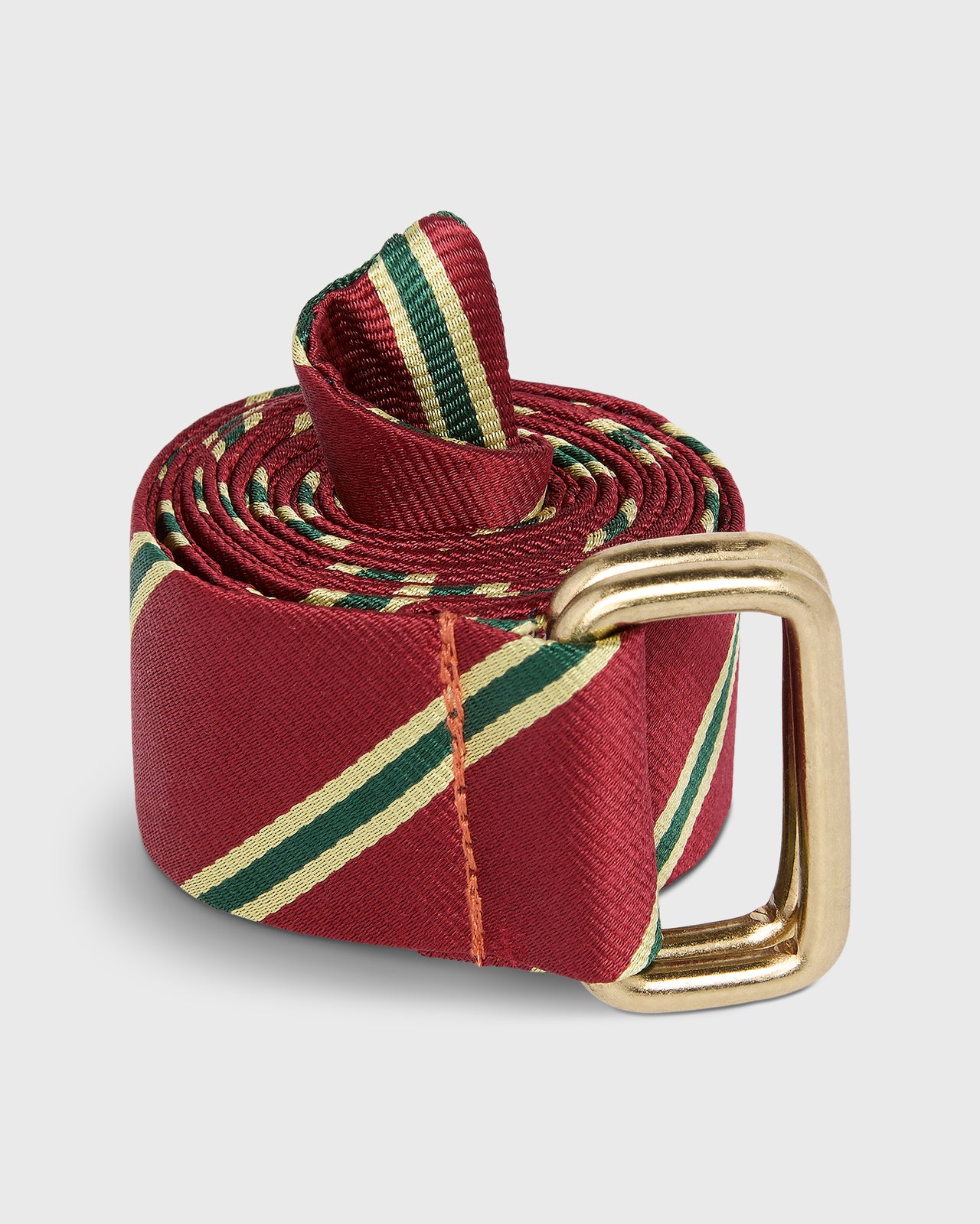 D-Ring Belt in Dragoons 6th