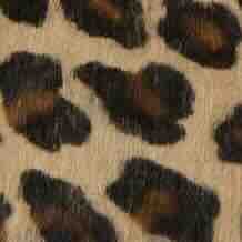 Joy Mule in Leopard Calf Hair