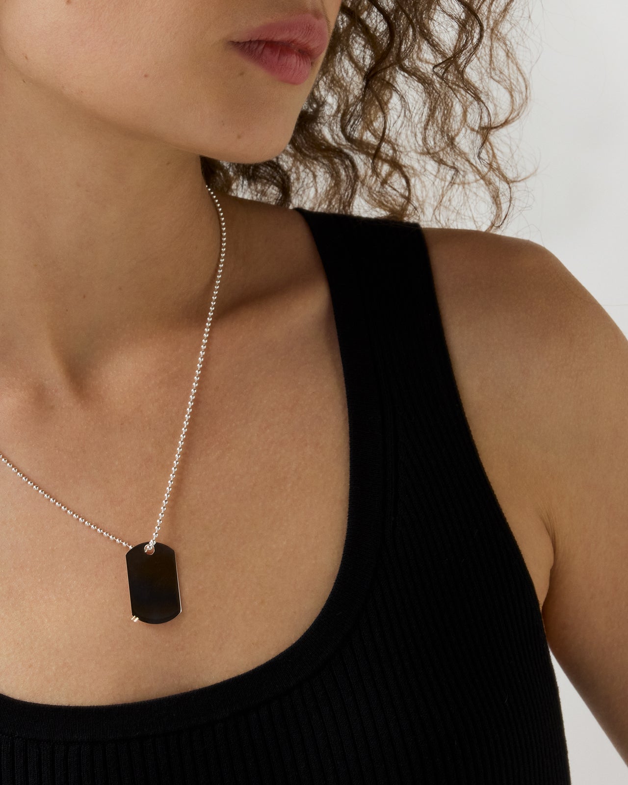 Dog Tag Necklace in Silver