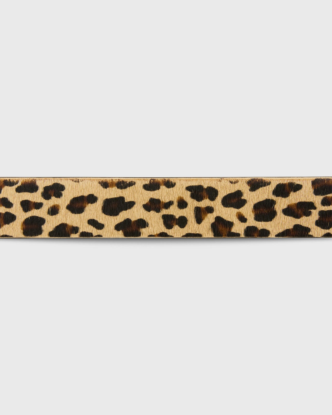 1.5" Conroy Belt in Leopard Calf Hair