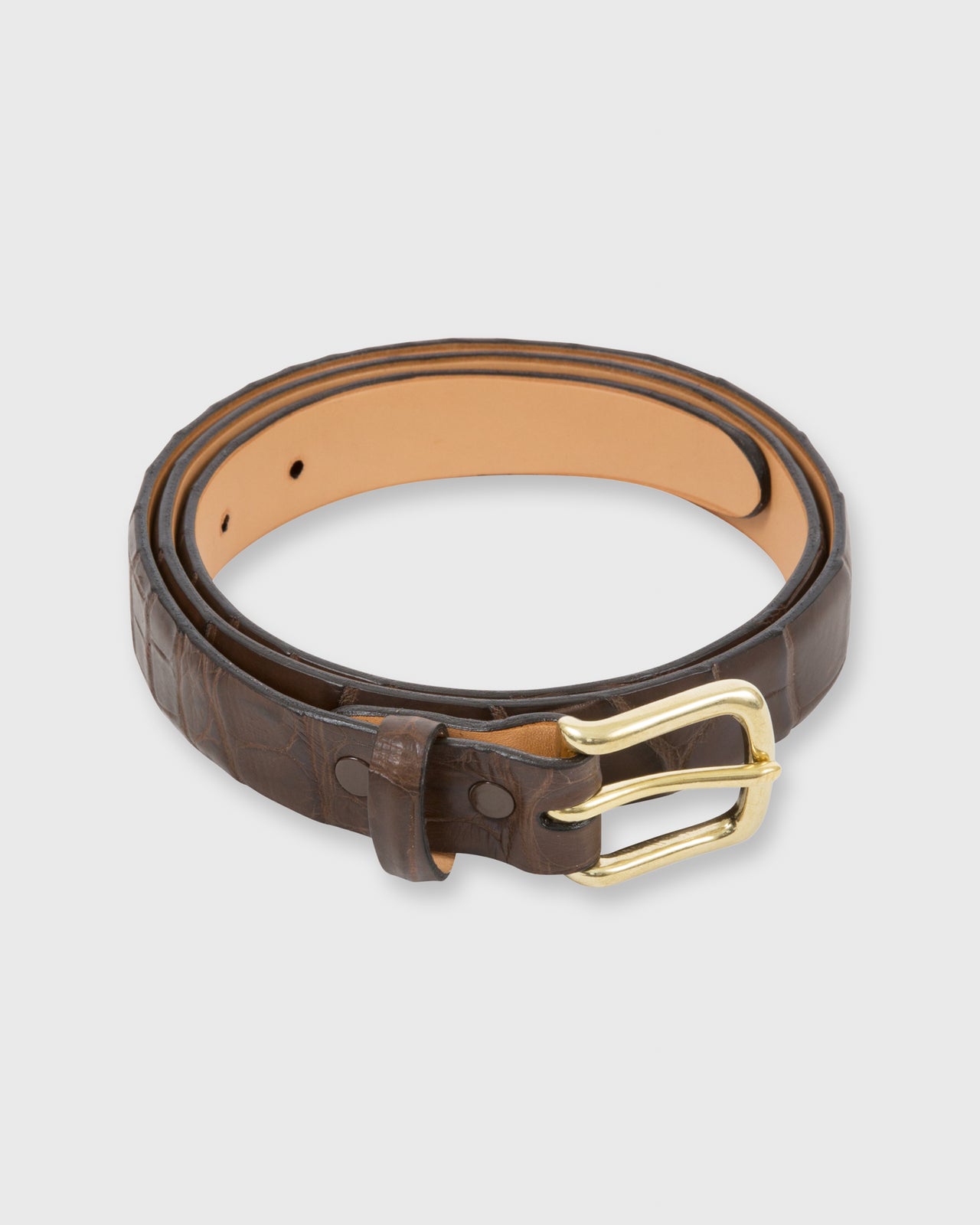 1" Belt Chocolate Matte Alligator
