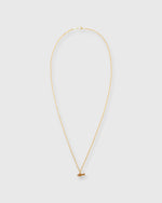 Load image into Gallery viewer, Precious Fish Pendant Gold/Diamond
