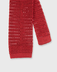 Silk Knit Tie in Dark Red