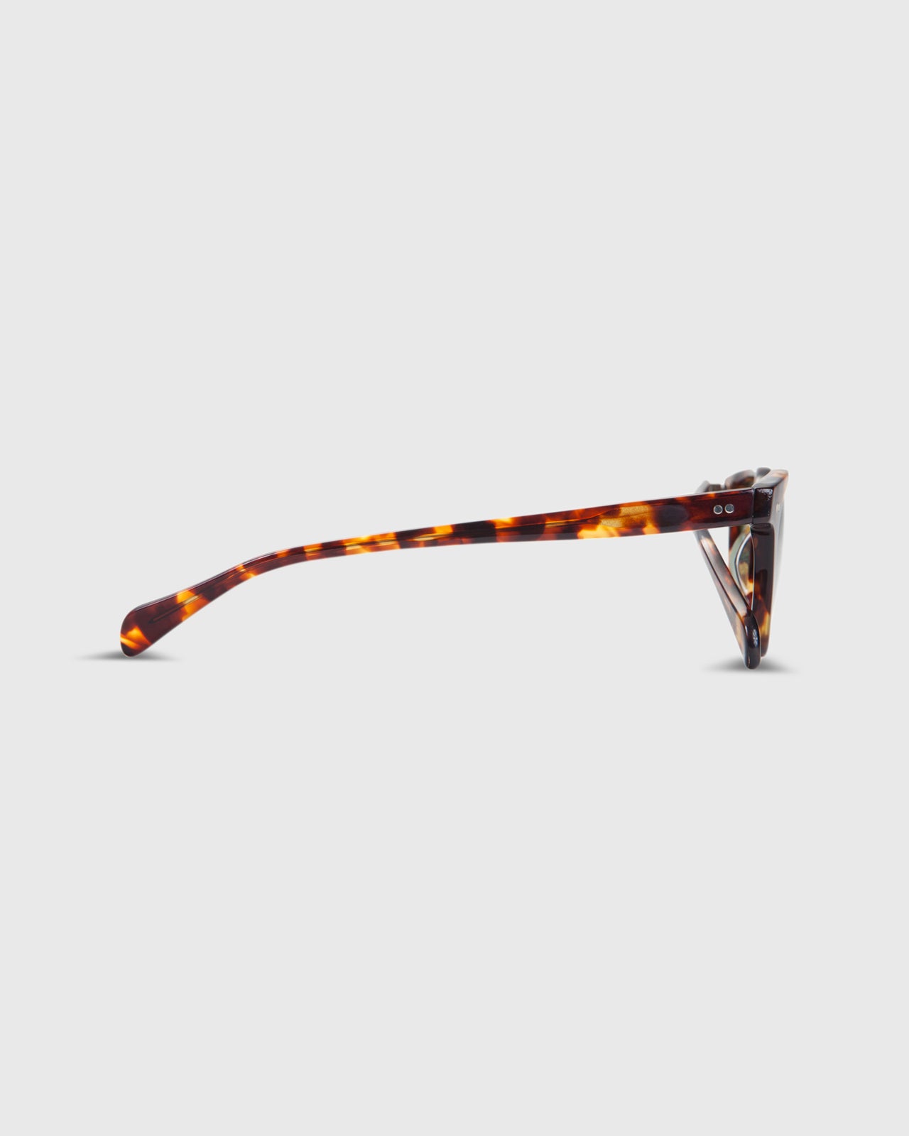 Legend Sunglasses Tokyo Tortoise
